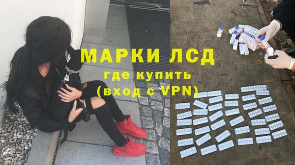 гидра Алексеевка