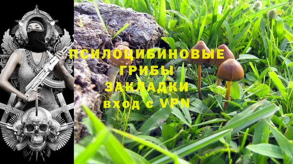 гидра Алексеевка