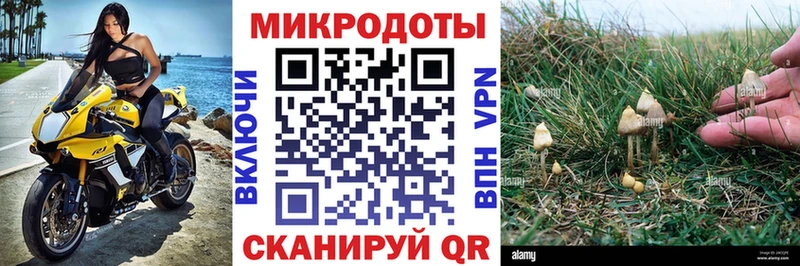 hydra как зайти купить наркоту Ипатово Галлюциногенные грибы Cubensis